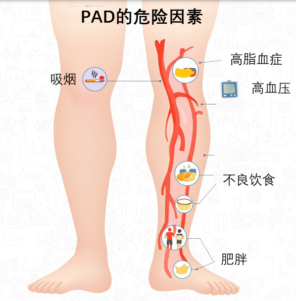 图片69.jpg 图片69.jpg